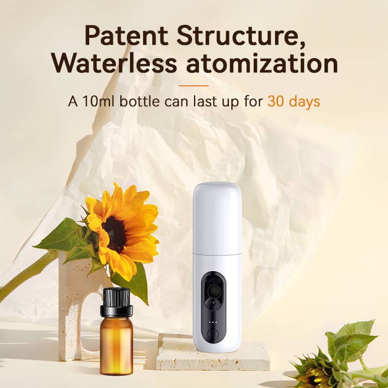 www.scentachina.com